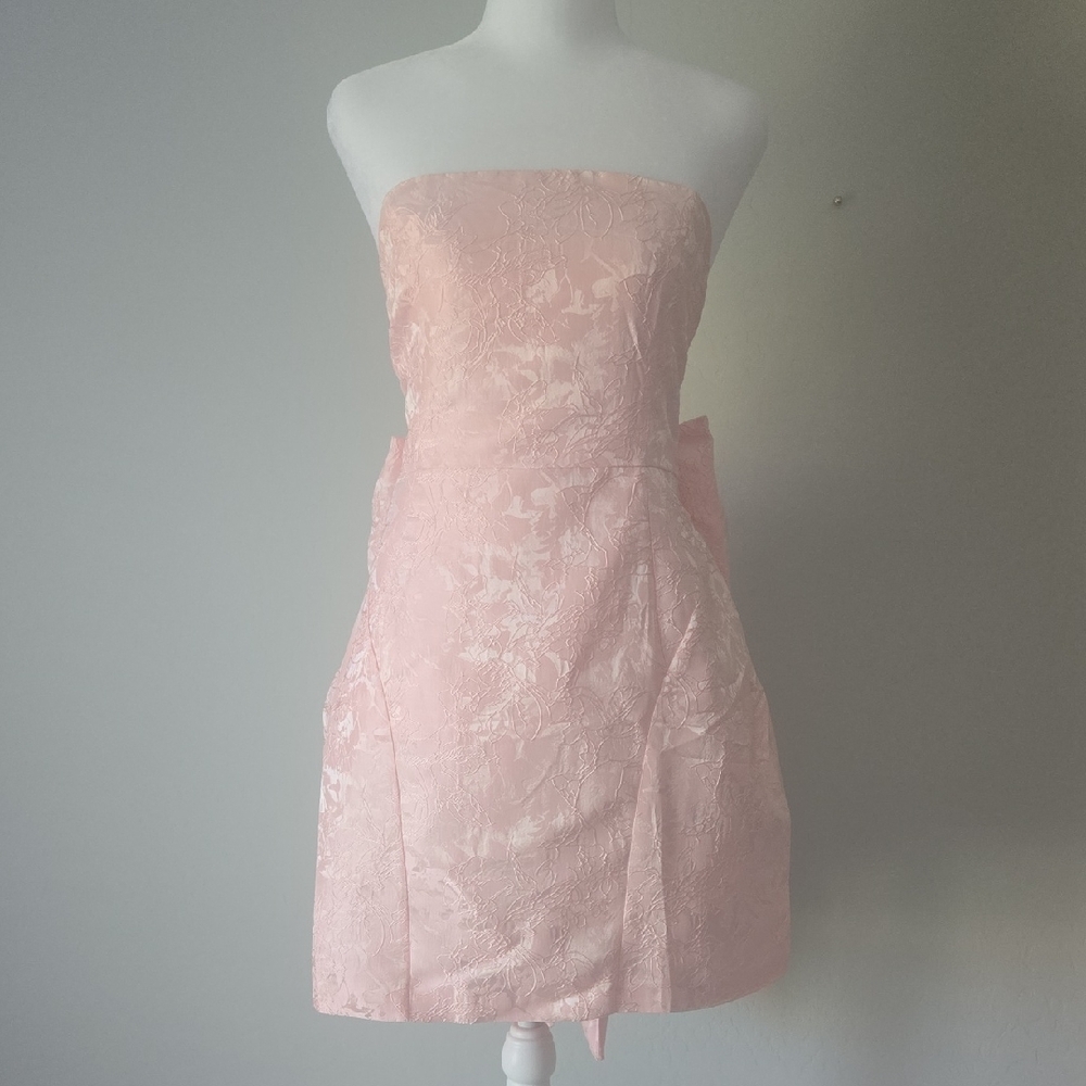 Elegant Strapless Blush Dress